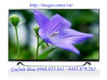 Tivi 3D Led Lg 65Uf850T 65 Inch 4K Ultra Hd Smart Tv 200Hz Chính Hãng