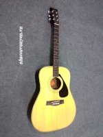 Guitar Acoustic Yamaha Fg-151, Fg-160, Fg-250D.