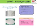 Chuyên Cung Cấp Ca(Oh)2 – Canxi Hydroxit 98% Giá Cực Tốt