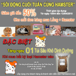 Khuyến Mãi Giảm Giá Chuột Hamster 