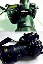 Cần Bán Gấp Body Ff Nikon D700.