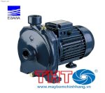 Máy Bơm Ly Tâm 1 Tầng Cánh Ebara Cmb 5.50T 5.5Hp (380V)