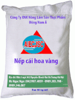 Gạo Bắc Hương Hải Hậu
