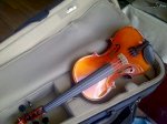 Violin Suzuki Sz 4/4