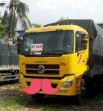 Xe Dongfeng 10T