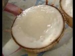 Nơi Bán Dừa Sáp Giá Rẻ 170K/Trái Sinh Tố Dừa Sáp Dừa Sáp Dằm Sữa