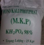 Phân Mkp - Mono Potassium Phosphate- Hóa Chất Mkp - Mono Potassium Phosphate-