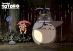 Ốp Dẻo Totoro Kute Iphone 5/5S