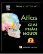 Atlas Giải Phẫu Người