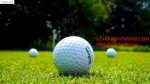 Banh Golf Các Loại, Banh Nổi, Banh 1 Lớp, 2 Lớp, Banh Màu, In Logo Theo Yêu Cầu