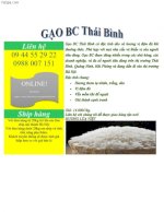 Gạo Sạch Bc Thái Bình