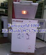 Tủ Đông Fujigold Fgf-S159Mbk 100 Lít, Tủ Đông Mini 100L Giá Rẻ