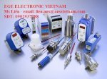 P10404-Stk 412 S-A4-P11080-Sn 450/2-A4-Wr2-Cảm Biến Electronik Vietnam