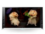Xả Kho Tivi Led 3D 4K Sony 65X9300C Smart Tv 65 Inch Chính Hãng