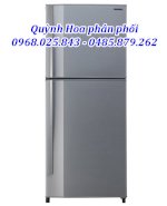 Bán Gr - S25Vpbs: Tủ Lạnh Toshiba Gr-S25Vpb (S) 226 Lít Giá Rẻ