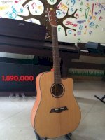 Giảm Giá 19% Đàn Guitar Acoustic Sunny Sn1041 & Sn720A