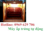 Máy Ấp Trứng Gia Đình, Máy Ấp Trứng Gà Giá Rẻ.