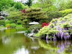 Nghệ Thuật Thiết Kế Sân Vườn Nhật Bản