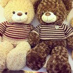 Gấu Teddy - Hoa Gấu Bông Cần Thơ Sỉ & Lẻ