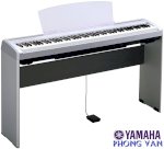 Công Ty Bán Đàn Piano Điện Yamaha P-45B