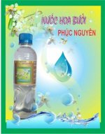 Nước Hoa Bưởi Tự Nhiên Làm Bánh Trung Thu - Phúc Nguyên