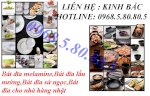 Bát Đĩa Melamine, Bát Đĩa Sứ Ngọc, Bát Đĩa Cho Nhà Hàng Lẩu Nướng, Bát Đĩa Cho N