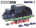 Bơm Bánh Răng Cánh Đông Trục Inox Lucky Pro Mkp80-1