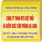 Công Ty Diệt Mối Tận Gốc Và Phòng Chống Mối Tại Hạ Long,Quảng Ninh