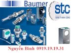 Baumer Viet Nam - Stc Việt Nam - Fse 100A2002 - Fzdk 10P5101/S35A - Fse 100A1006