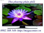 Smart Tivi 48Ju6000- Phân Phối Tv Samsung 48Ju6000 Giá Rẻ.