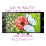 Điện Máy Thành Đô Xả Kho Hàng Cực Lớn: Tivi Led Sony 65X9000C,65X9300C.