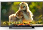Giá Mới Nhất (32R300C) - Tivi Led Sony 32R300C 32 Inch