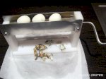 Dụng Cụ Lột Vỏ Trứng Cút Mini- Máy Bóc Vỏ Trứng Cút Cầm Tay
