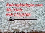 Bulong Inox 316 M12 X 150
