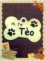 Pet Tag - Bảng Tên Thú Cưng - Thẻ Tên Chó Mèo