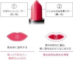 Son 2 Màu Kép Cao Cấp Của Shiseido