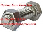 Bulong Inox 304 M16,M18,M22,M24X200,Blong Inox