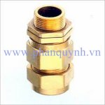 Ốc Siết Cáp Công Nghiệp E1W M40 Npt 1-1/4’’