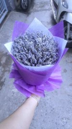 Bó Hoa Khô Lavender (Oải Hương)