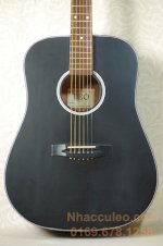 Đàn Guitar Acoustic D90