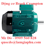 Brook Crompton Distributor Vietnam-Electric Motors