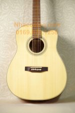 Đàn Guitar Acoustic D250