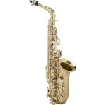 Kèn Saxophone Allora Student Series Alto Aaas-301 - Nhập Từ Mỹ