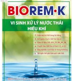 Vi Sinh Xử Lý Nước Thải Hiếu Khí  Biorem.k