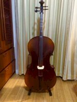 Cần Bán Lại Đàn Cello (Xen-Lo)