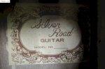 Guitar Acoustic Silver Road