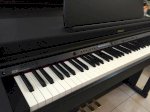Đàn Piano Roland Hp-205