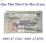 Que Thử Thai Cho Heo (Lợn)