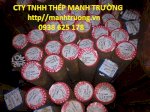 Thép  Tròn Đặc : S20C. S45C .S50C. S55C. Skd11. Skd61. Scm440