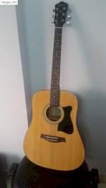 Đàn Guitar Acoustic Ibanez V50 Njp